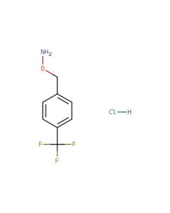 Astatech O-(4-(TRIFLUOROMETHYL)BENZYL)HYDROXYLAMINE HCL; 1G; Purity 95%; MDL-MFCD00231881